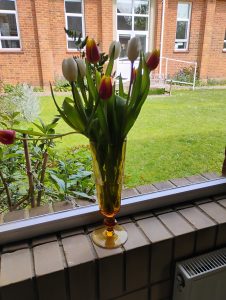 IMG_20250420_111942357_HDR