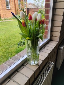 IMG_20250420_111949146_HDR