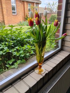 IMG_20250420_111955724_HDR