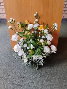 IMG_20250420_112011677